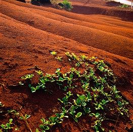 NEXON竞技射击游戏《VEILED EXEPRTS 幕后高手》 最终测试现已开启！